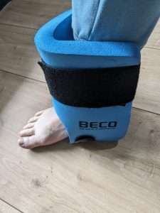 die blauen Füßlinge