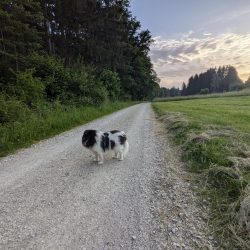 PXL_20240620_184552371