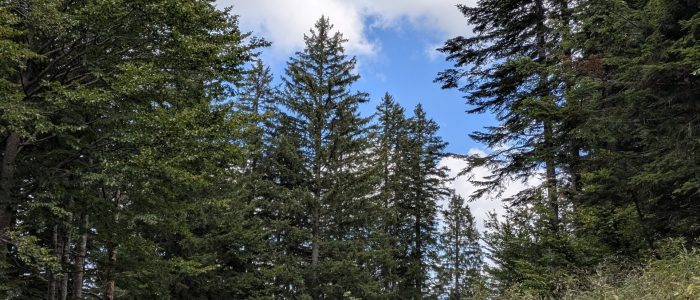 PXL_20250901_081239697